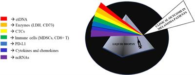 The Promise of Liquid Biopsy to Predict Response to Immunotherapy in Metastatic Melanoma